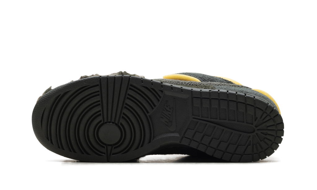 Dunk Low "CPFM Swamp Spone - Sequoia" IH5094 300