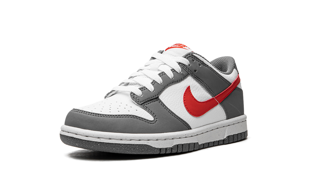 Dunk Low Next Nature GS "Smoke Grey" FB8038 001