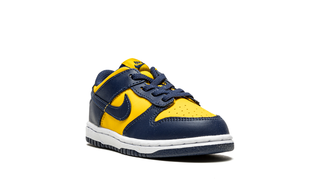 Dunk Low TD "Michigan" CW1589 700