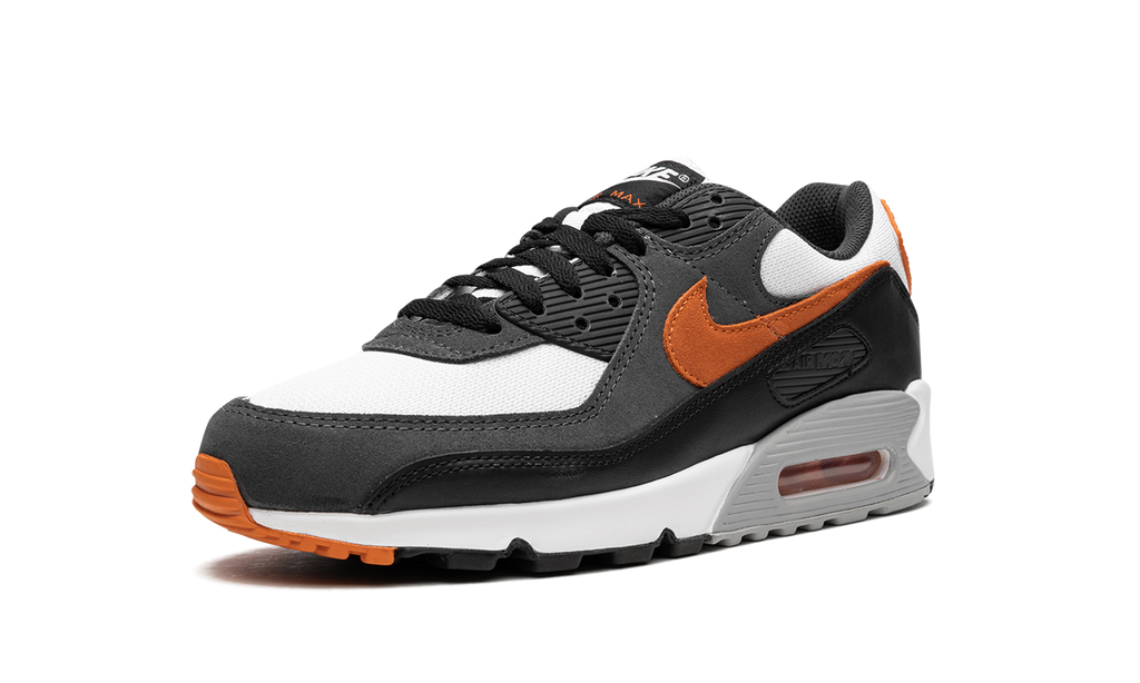 Air Max 90 "Starfish" DM0029 101