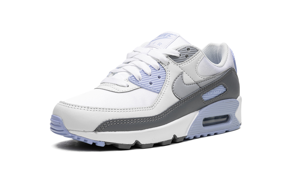 AIR MAX 90 WMNS "Cobalt Bliss" FB8570 100