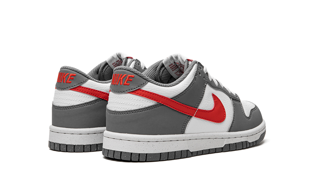 Dunk Low Next Nature GS "Smoke Grey" FB8038 001