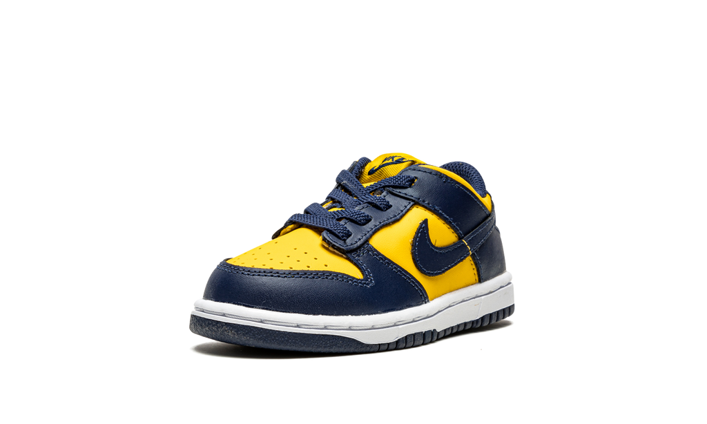 Dunk Low TD "Michigan" CW1589 700