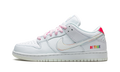 SB Dunk Low Pro BeTrue "Be True" DR4876 100