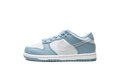Dunk Low PS "Clear Aqua" DH9756 401