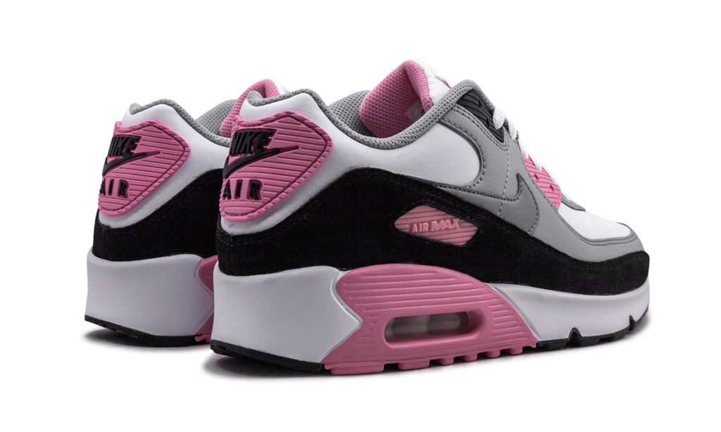 Air Max 90 LTR (GS) "Rose Pink" CD6864 104