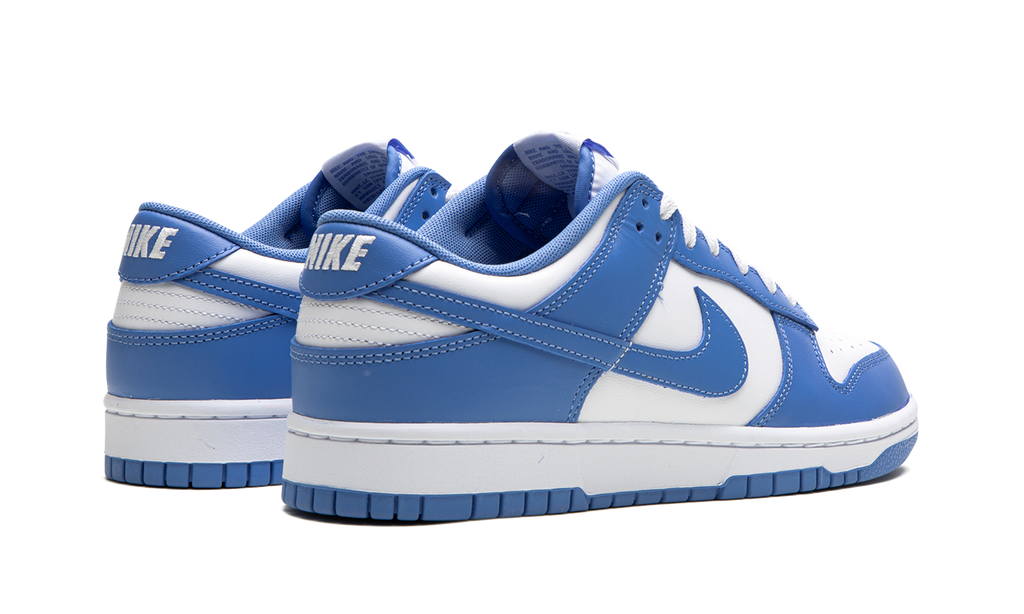 Dunk Low "Polar Blue / White" DV0833 400