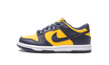 Dunk Low GS "Michigan 2021" CW1590 700