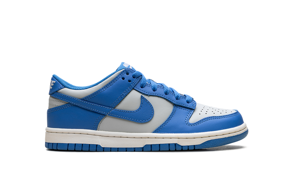 Dunk Low GS "Light Photo Blue" FB9109 004