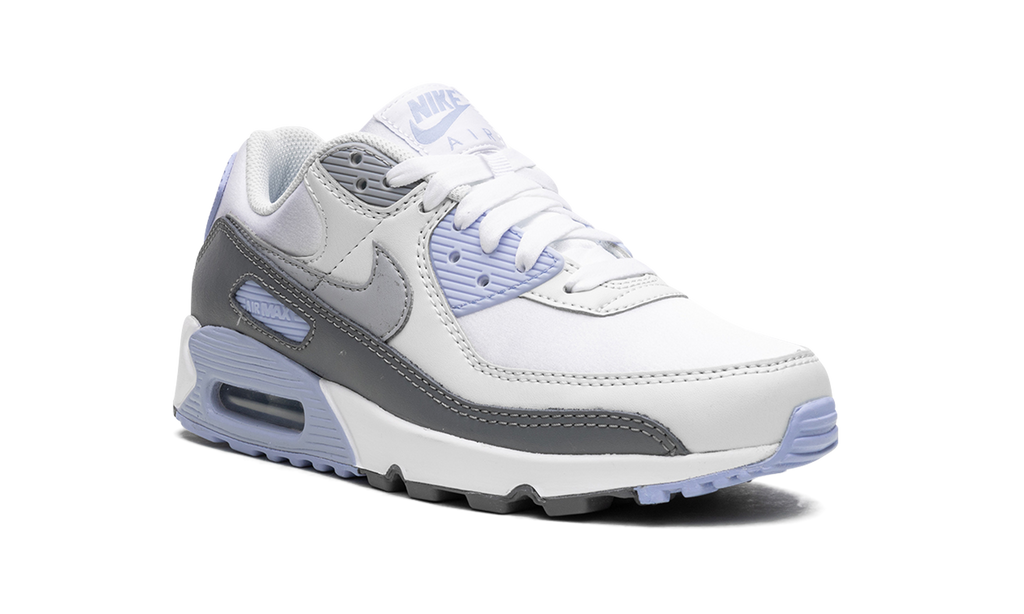 AIR MAX 90 WMNS "Cobalt Bliss" FB8570 100