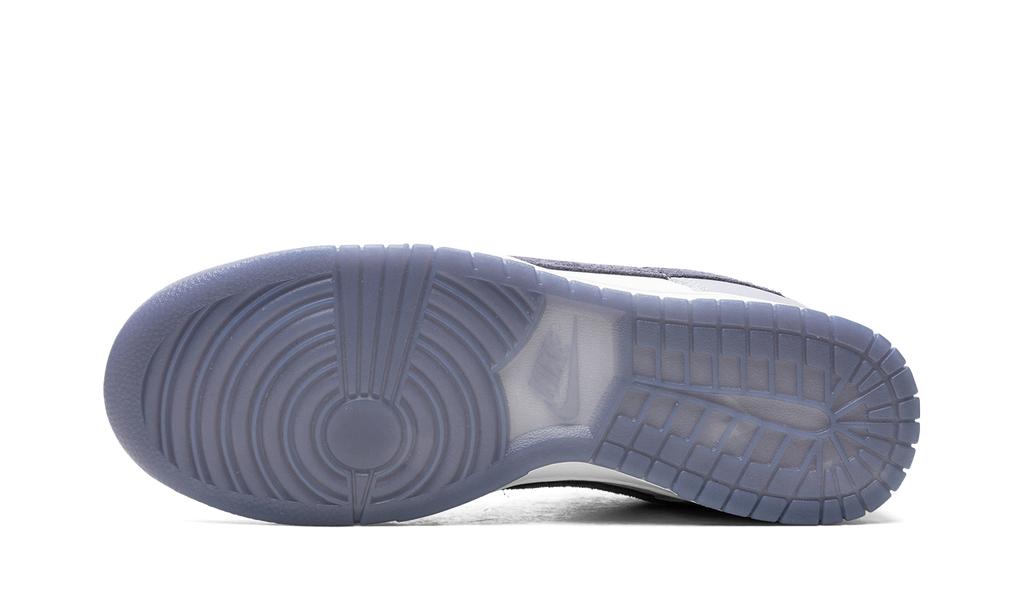Dunk Low "Light Carbon" FJ4188 100