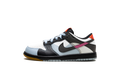 Dunk Low SE "Dance" FJ2687 100