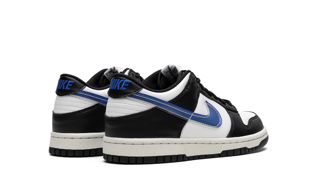 Dunk Low Next Nature GS "TPU Swoosh" FD0689 001