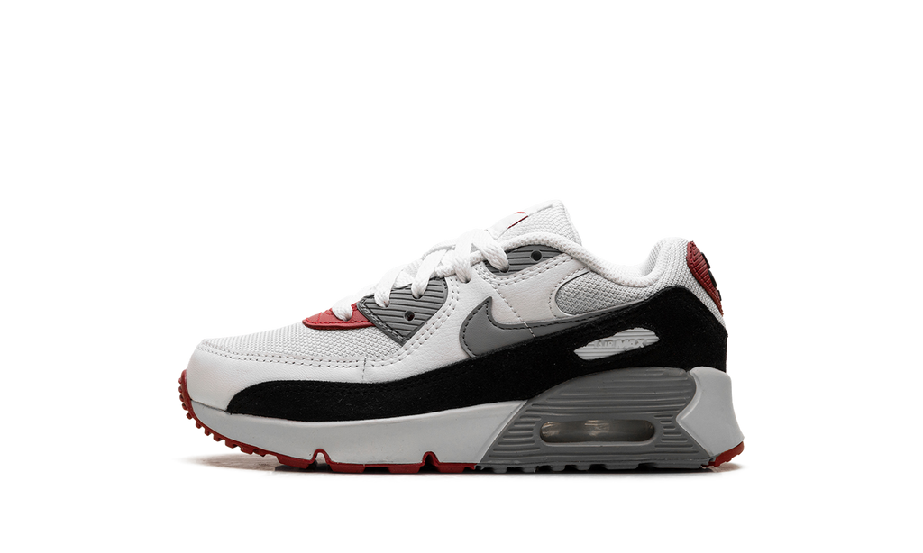 Air Max 90 PS "Photon Dust Grey" CD6867 019