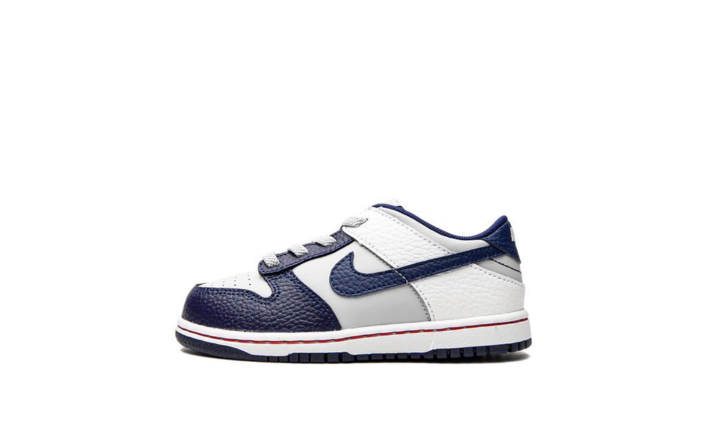 Dunk Low TD "Nets" DC9562 001