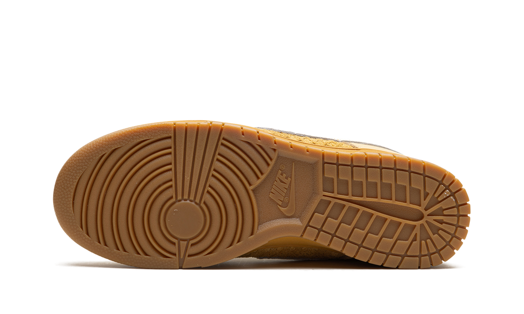 Dunk Low "Waffle" FZ4041 744