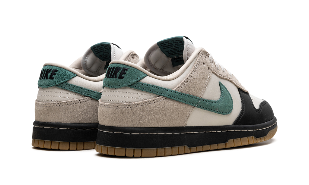 Dunk Low "Brown Bicoastal" HQ3483 104