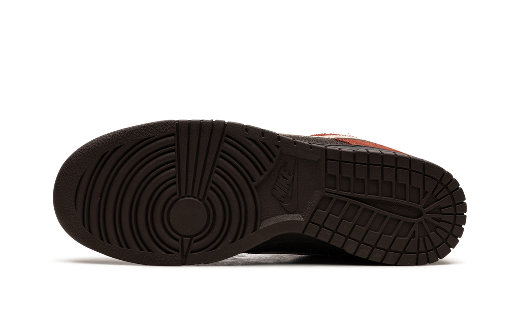 Dunk Low "Red Panda" FV0395 200