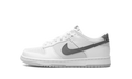 Dunk Low GS "Reflective Swoosh" FV0365 100