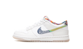 Dunk Low GS "Multi Color Paisley" FN8913 141