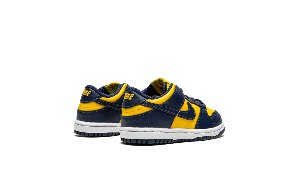 Dunk Low TD "Michigan" CW1589 700