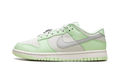 Dunk Low Next Nature Wmns "SEA GLASS" FN6344 001