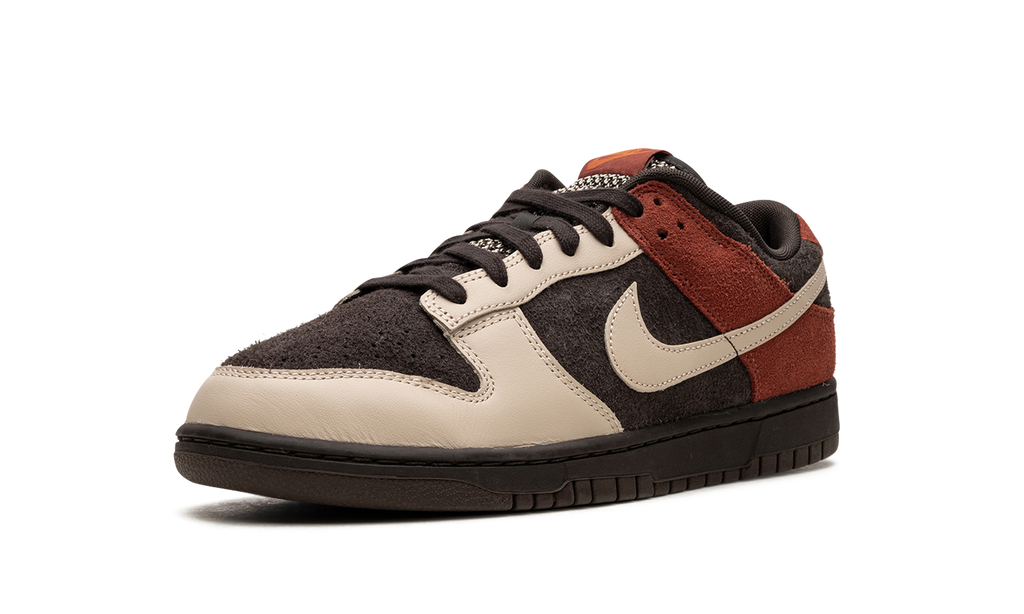 Dunk Low "Red Panda" FV0395 200