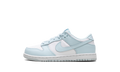 Dunk Low "Blue" FB9108 105