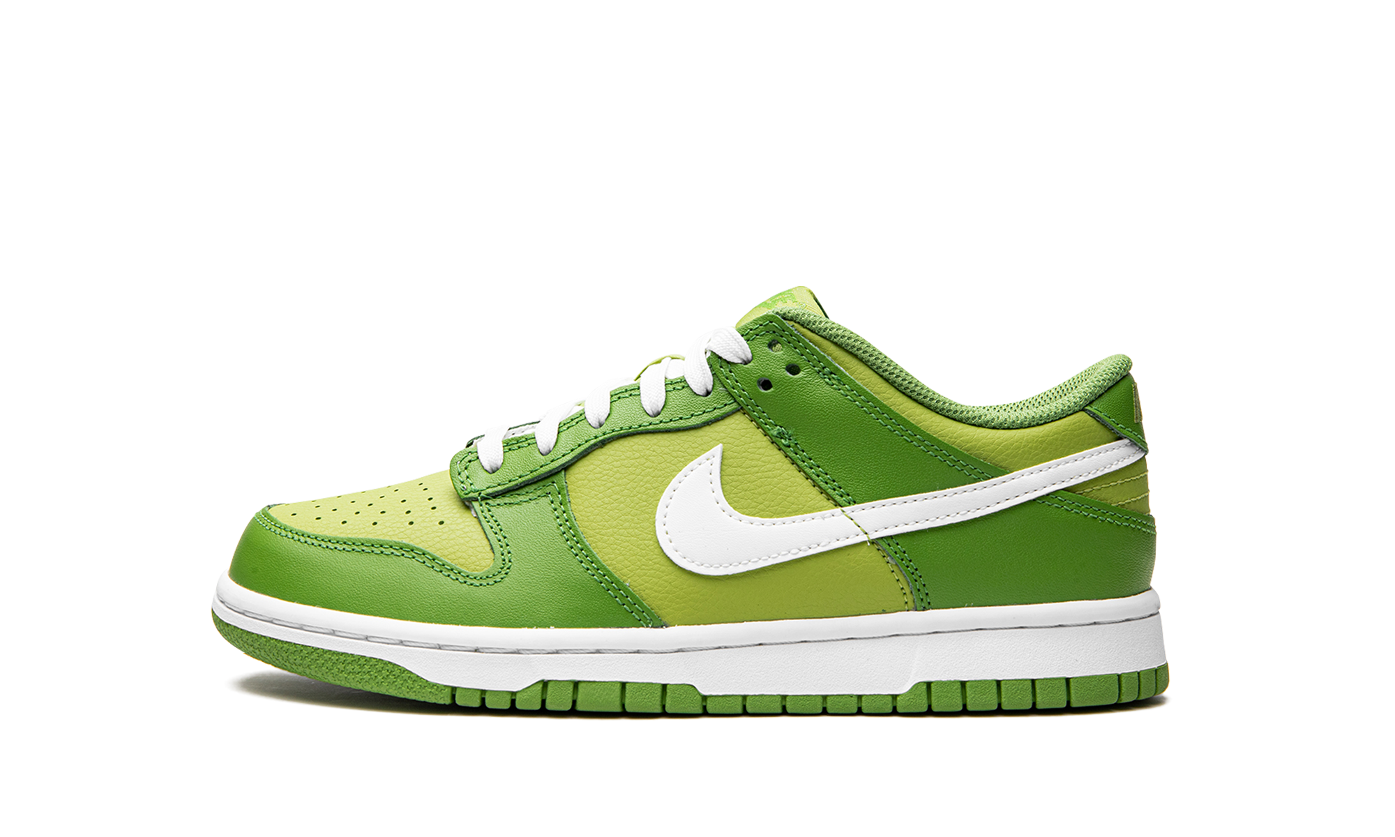 Dunk Low GS "Dark Chlorophyll" DH9765 301
