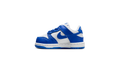 Dunk Low TD "Concord" FB9107 106