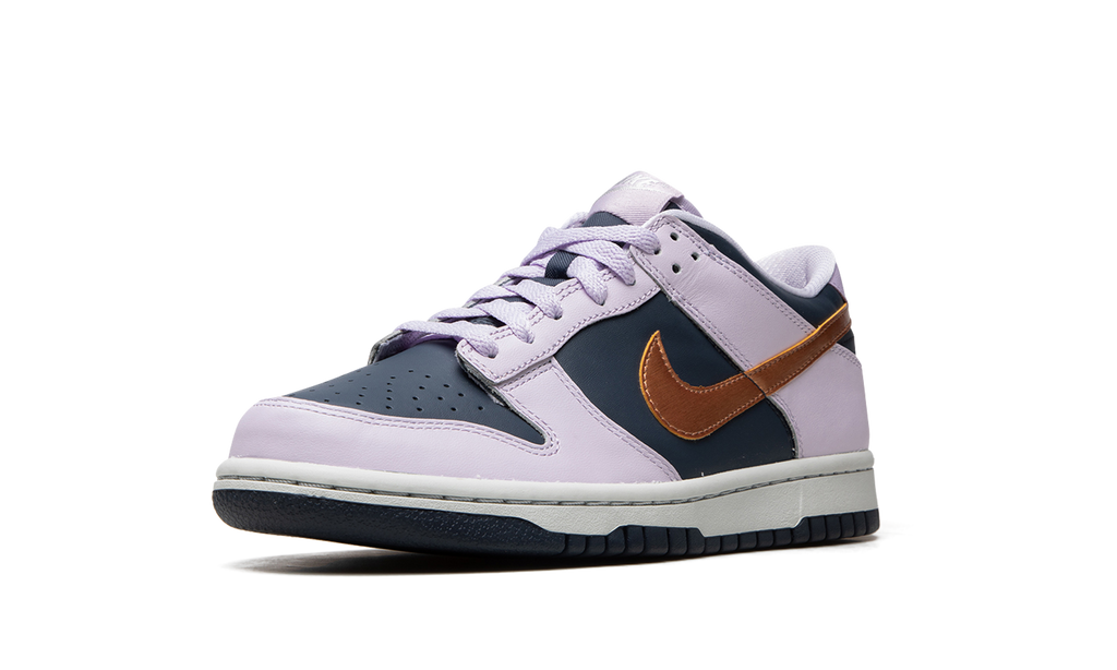 Dunk Low Se "Copper Swoosh" DX1663 400