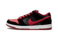 Dunk Low Pro SB "Jpack" 304292 039