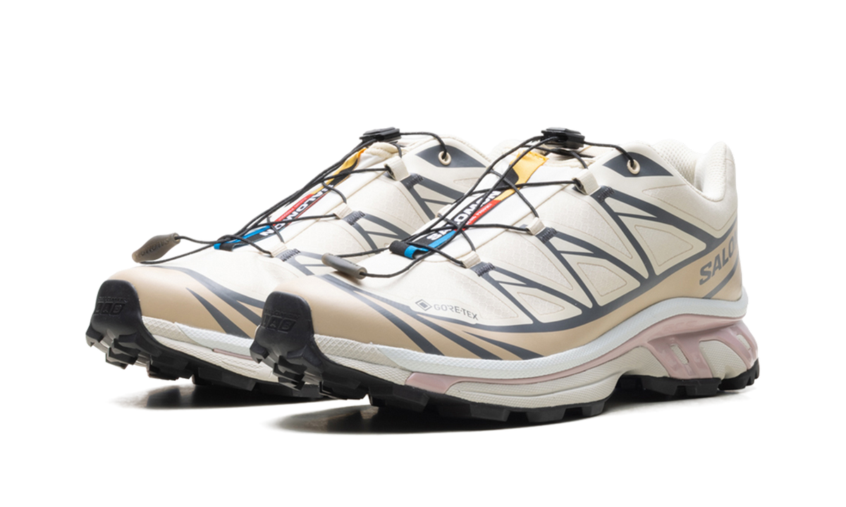 XT-6 GTX "Almond Milk Mauve" L47581200