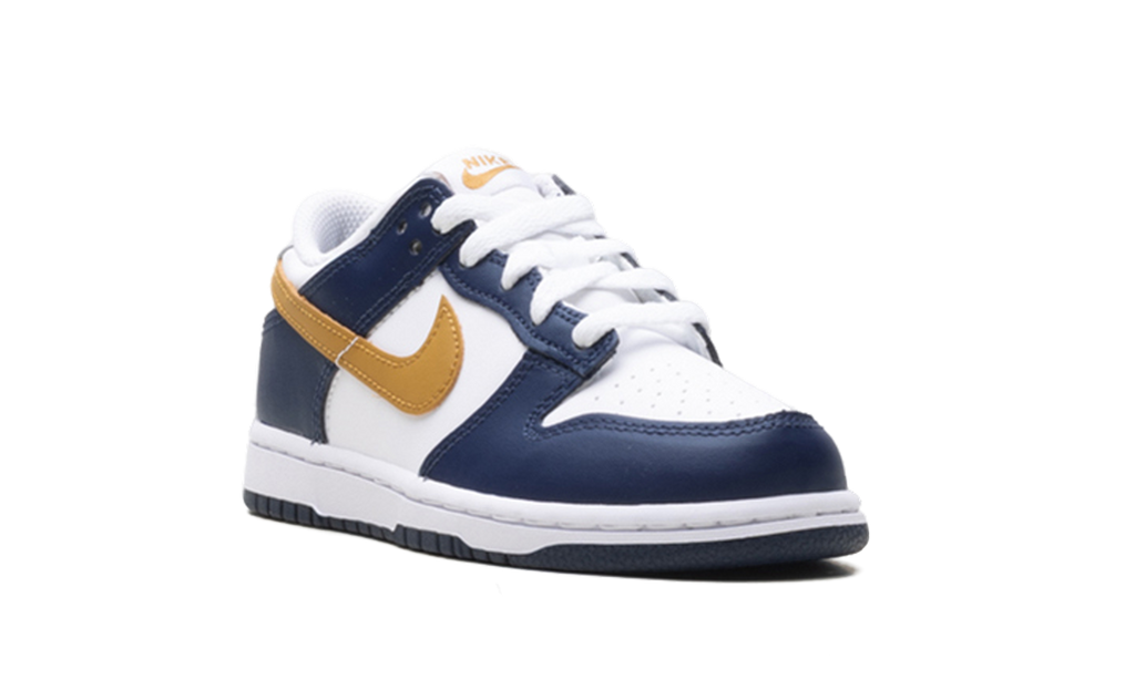 Dunk Low "Navy" FB9108 111