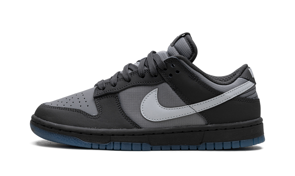 Dunk Low "Anthracite" FV0384 001