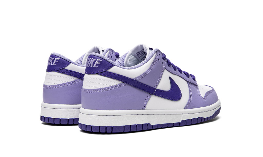Dunk Low GS "Blueberry" DZ4456 100