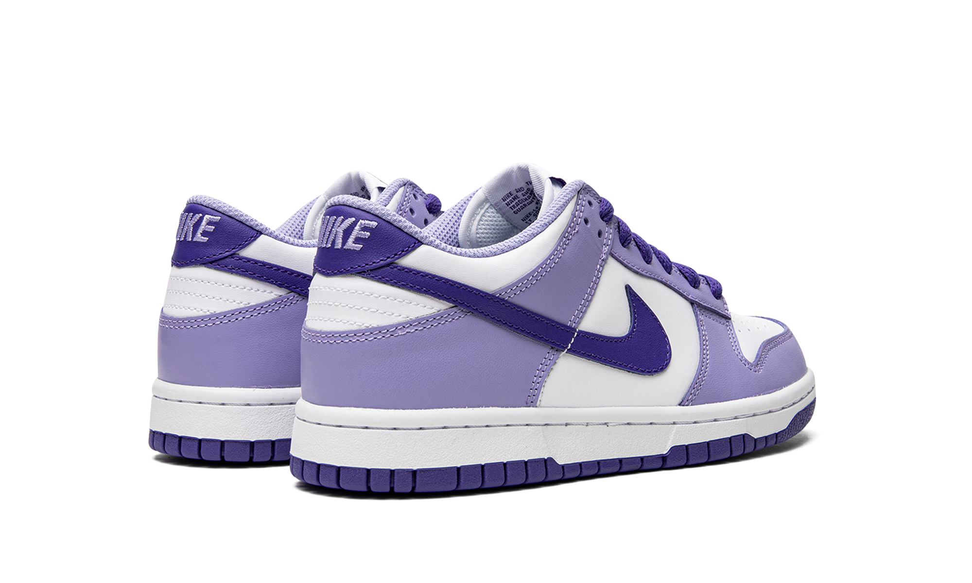 Dunk Low GS "Blueberry" DZ4456 100