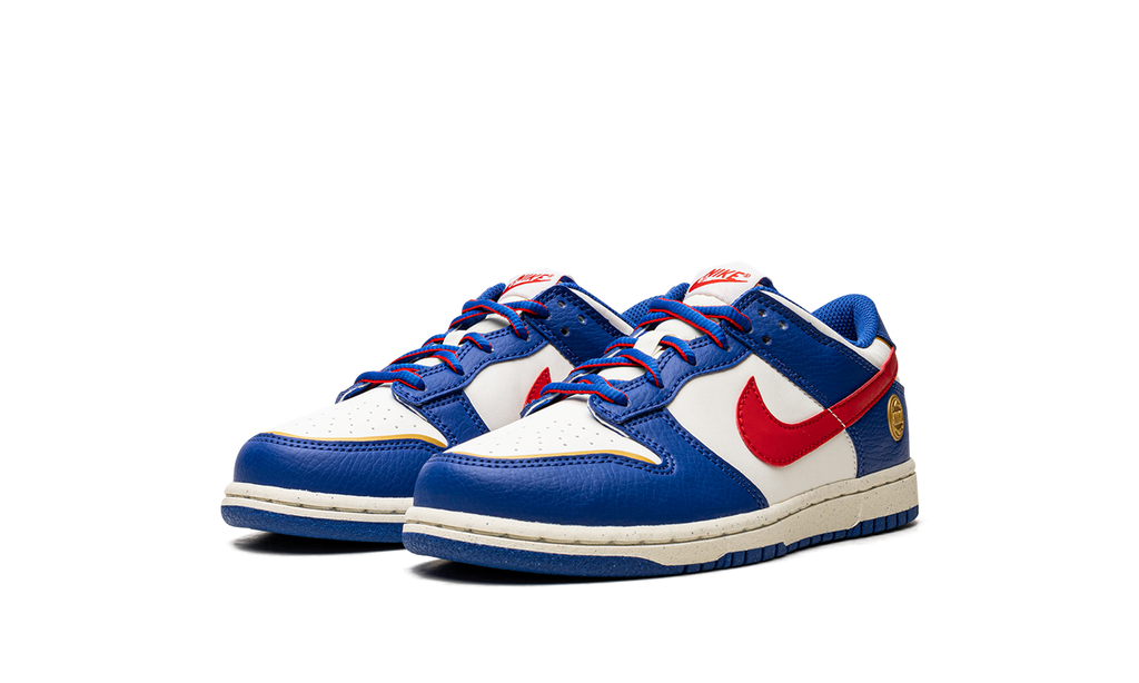 Dunk Low PS NN "Superhero" FD0673 400