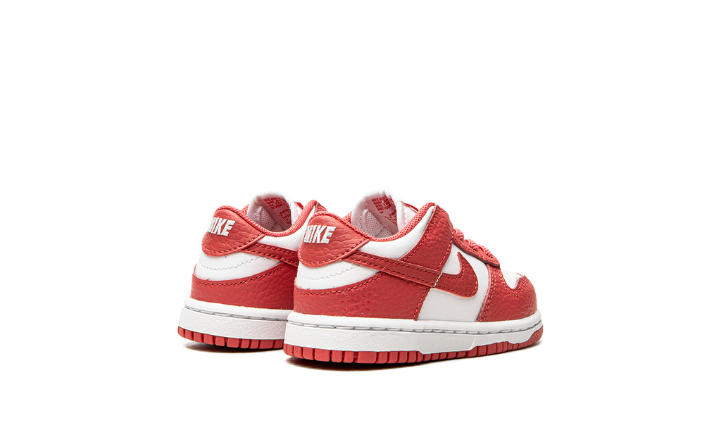 Dunk Low "Archaeo Pink" DC9562 111