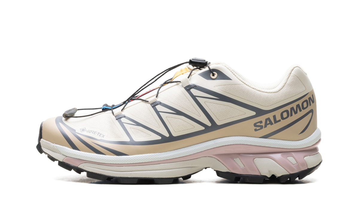 XT-6 GTX "Almond Milk Mauve" L47581200