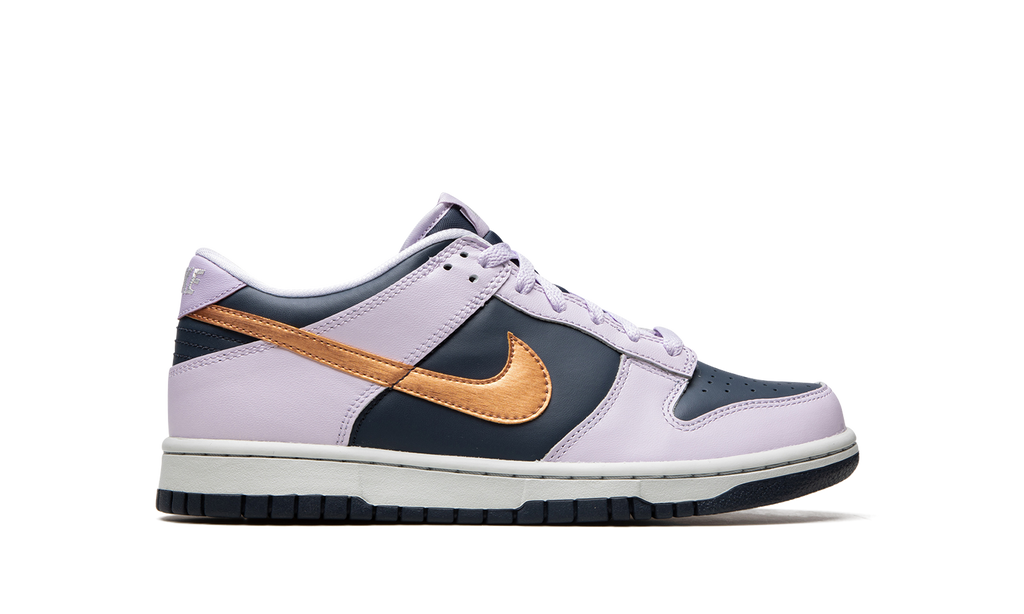 Dunk Low Se "Copper Swoosh" DX1663 400