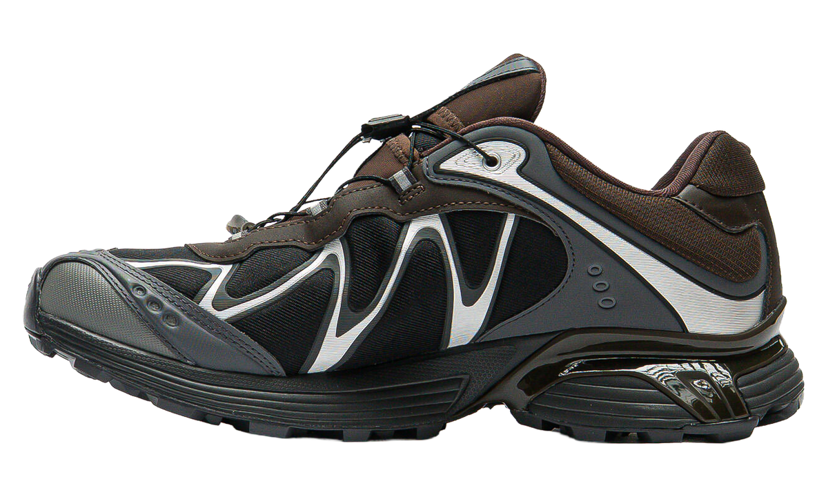 XT-Whisper Gore-Tex "Delicioso / Asphalt / Castlerock" L45397800