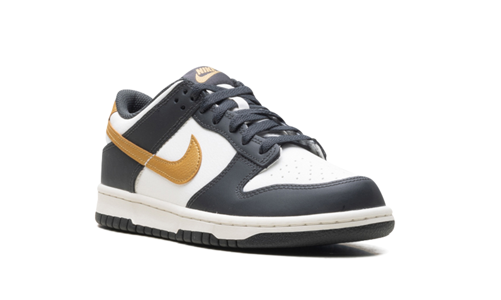 Dunk Low GS "Summit White Metallic Gold" HV2533 100