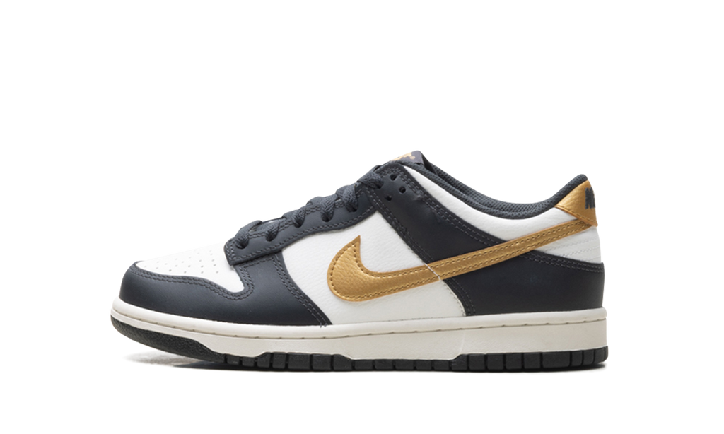 Dunk Low GS "Summit White Metallic Gold" HV2533 100