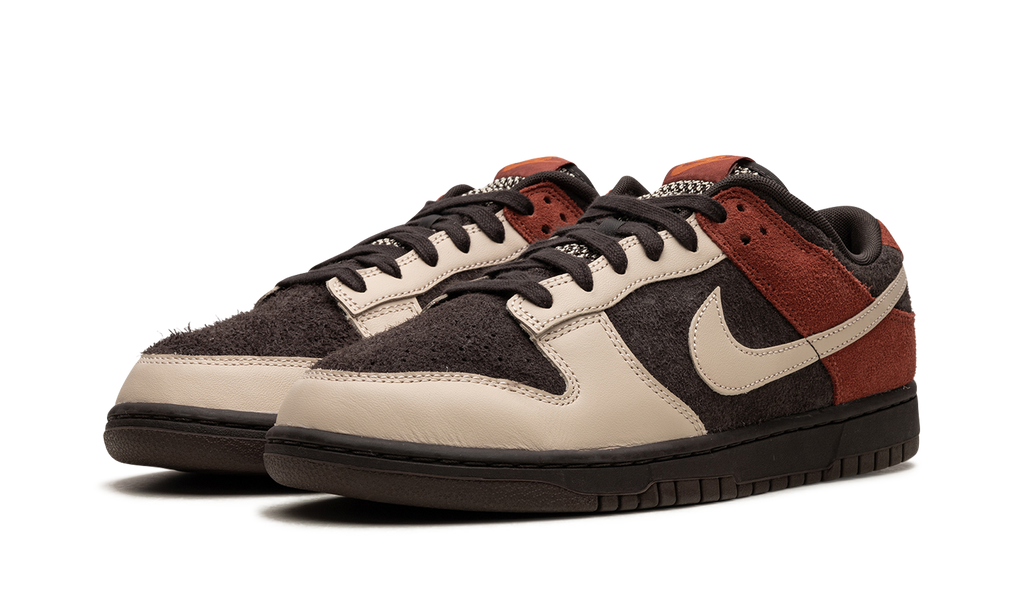 Dunk Low "Red Panda" FV0395 200