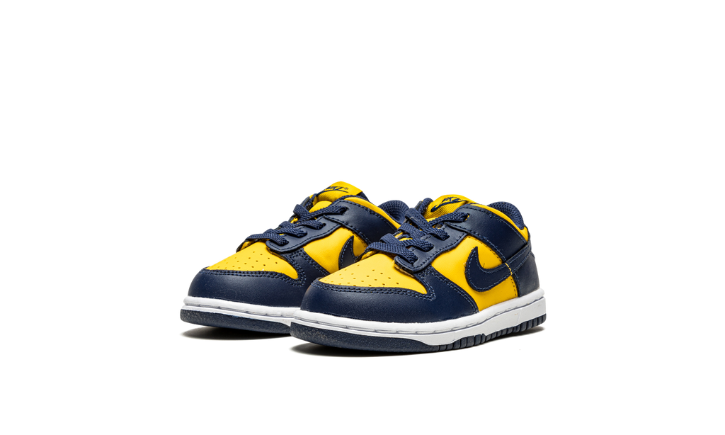 Dunk Low TD "Michigan" CW1589 700